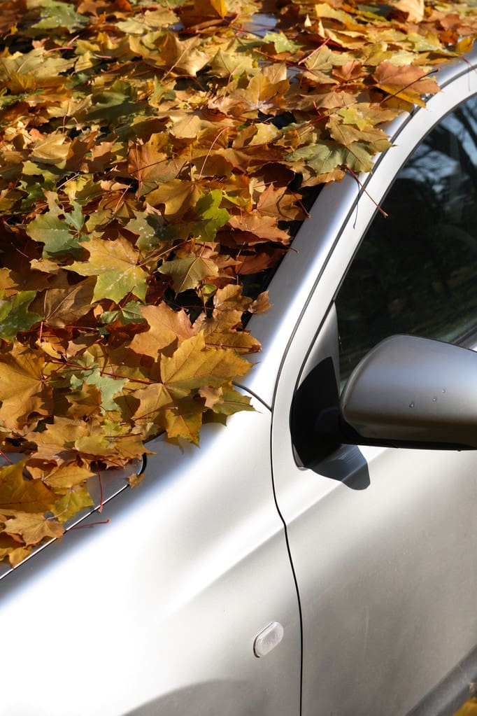 fall-season-car-care-tips